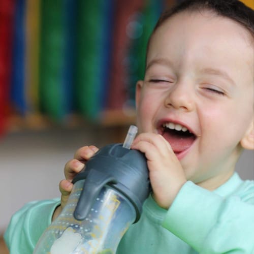 bosque_corujinha_alimentacao7