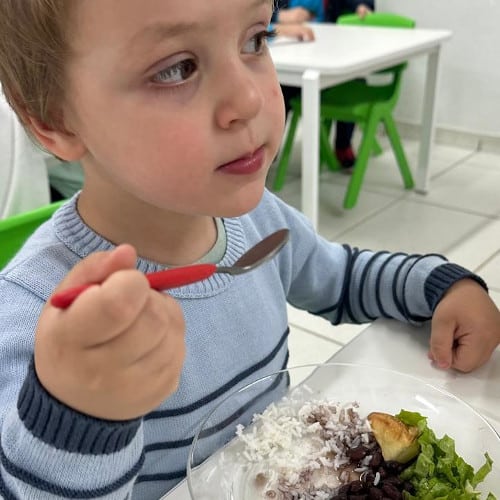 bosque_corujinha_alimentacao1