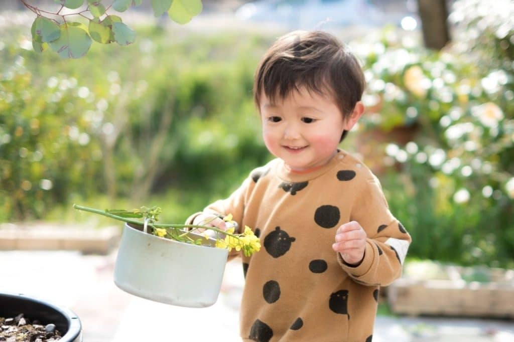 desenvolvimento infantil de 2 a 3 anos