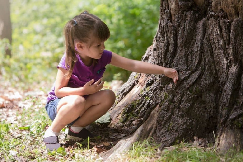 desenvolvimento infantil de 5 a 6 anos